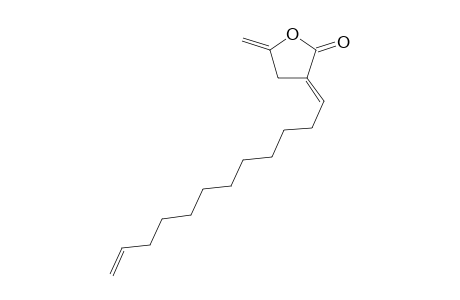 (E)-3-(11-Dodecenylidene)dihydro-5-methylene-2(3H0-furanone