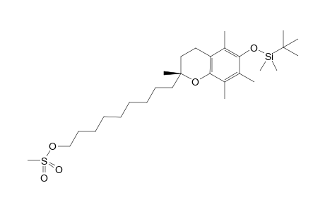 (R)-9-(6-tert-butyl-dimethyl-silanyloxy)-2,5,7,8-tetramethylchroman-2-yl)nonyl methanesulfonate