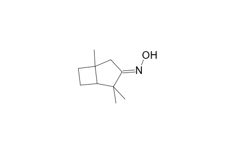 Bicyclo[3.2.0]heptan-3-one, 1,4,4-trimethyl-, oxime