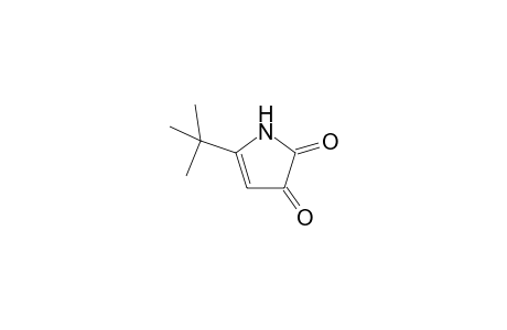 5-tert-Butyl-.delta.(4)-pyrroline-2,3-dione