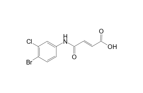(2E)-4-(4-Bromo-3-chloroanilino)-4-oxo-2-butenoic acid