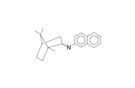 2-Naphthyl-(1,7,7-trimethyl-bicyclo<2.2.1>hept-2-yliden)amin