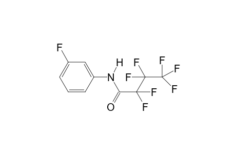 2,2,3,3,4,4,4-Heptafluoro-N-(3-fluorophenyl)butanamide