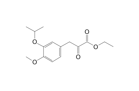 3-(3-isopropoxy-4-methoxy-phenyl)-2-keto-propionic acid ethyl ester