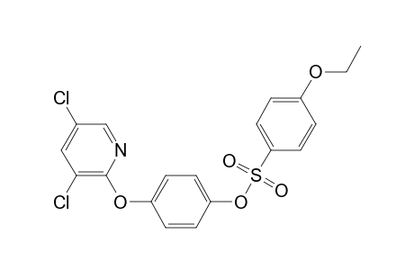 4-[(3,5-dichloro-2-pyridinyl)oxy]phenyl 4-ethoxybenzenesulfonate