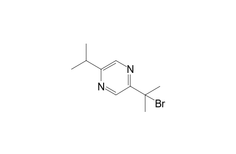 2-(1-bromo-1-methyl-ethyl)-5-isopropyl-pyrazine