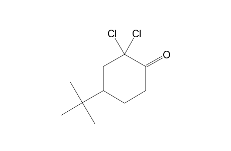4-tert-BUTYL-2,2-DICHLOROCYCLOHEXANONE