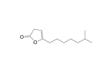 5-(6-Methylheptyl)furan-2(3H)-one