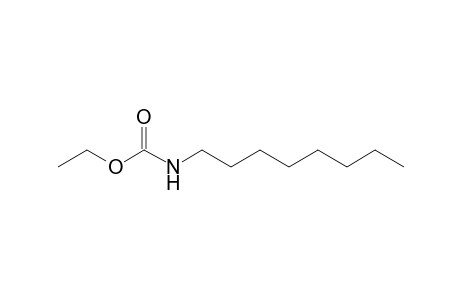 Carbamic acid, octyl-, ethyl ester