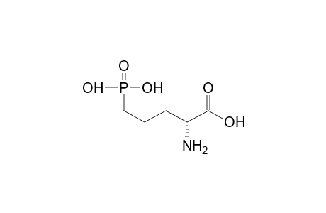 (S)-2-AMINO-5-PHOSPHONOPENTANOIC ACID