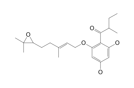 OLYMPICIN_E;4,6-DIHYDROXY-2-O-(6'',7''-EPOXY-3'',7''-DIMETHYLOCT-2''-ENYL)-1-(2'-METHYLBUTANOYL)-BENZENE