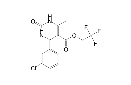 2,2,2-trifluoroethyl 4-(3-chlorophenyl)-6-methyl-2-oxo-1,2,3,4-tetrahydro-5-pyrimidinecarboxylate