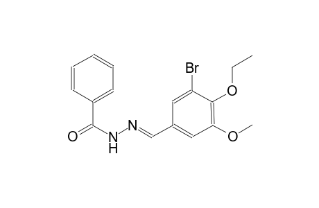 N'-[(E)-(3-bromo-4-ethoxy-5-methoxyphenyl)methylidene]benzohydrazide