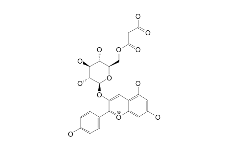 PELARGONIDIN-3-O-(6-O-MALONYL-BETA-D-GLUCOPYRANOSIDE)