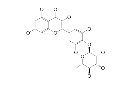 MYRICETIN-4'-O-ALPHA-L-RHAMNOPYRANOSIDE