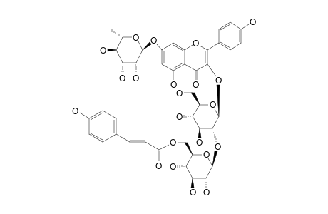 KAEMPFEROL-3-O-(6-TRANS-PARA-COUMAROYL)-BETA-GLUCOPYRANOSYL-(1->2)-BETA-GLUCOPYRANO-SIDE-7-O-ALPHA-RHAMNOPYRANOSIDE