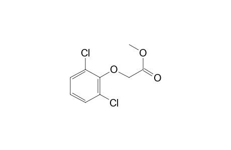 2,6-D Methyl ester