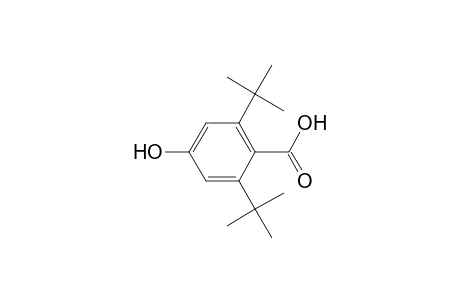 2,6-Ditert-butyl-4-hydroxy-benzoic acid