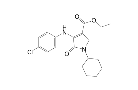 4-(p-chloroanilino)-1-cyclohexyl-5-oxo-3-pyrroline-3-carboxylic acid, ethyl ester