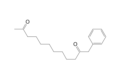 1-Phenyldodecane-2,11-dione