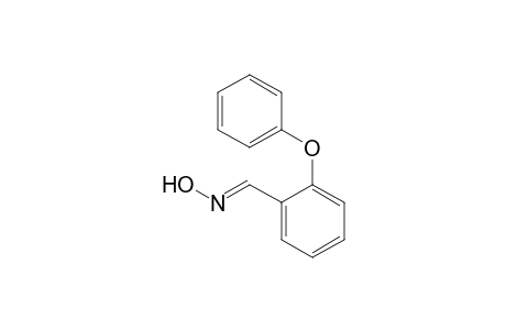 2-Phenoxybenzaldehyde oxime