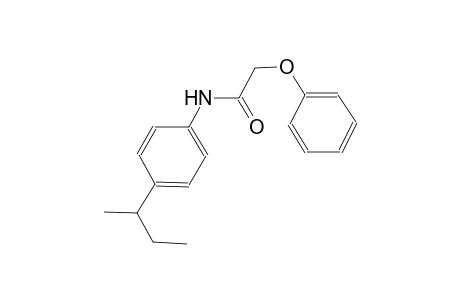 N-(4-sec-butylphenyl)-2-phenoxyacetamide