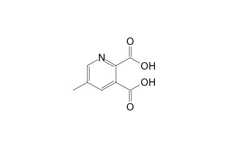 5-Methylpyridine-2,3-dicarboxylic acid