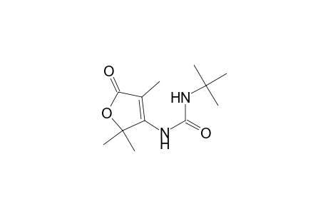Urea, N-(2,5-dihydro-2,2,4-trimethyl-5-oxo-3-furanyl)-N'-(1,1-dimethylethyl)-