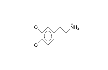 3,4-Dimethoxy-phenethylamine cation