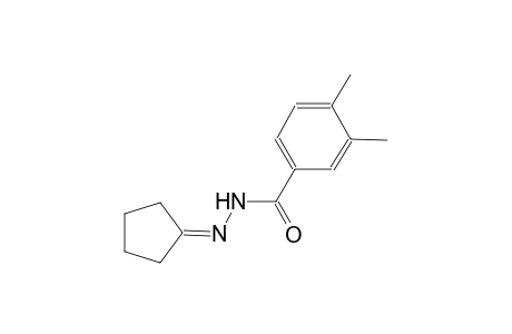 N'-cyclopentylidene-3,4-dimethylbenzohydrazide