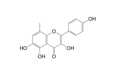 3,4',5,6-Tetrahydroxy-8-methylflavone