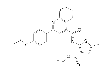 ethyl 2-({[2-(4-isopropoxyphenyl)-4-quinolinyl]carbonyl}amino)-5-methyl-3-thiophenecarboxylate