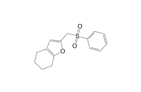 2-(benzenesulfonylmethyl)-4,5,6,7-tetrahydro-1-benzofuran