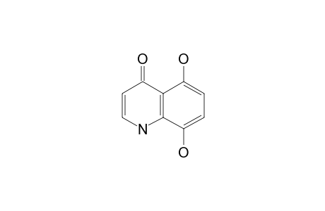 5,8-dihydroxy-4-quinolone