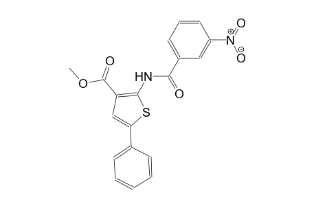 methyl 2-[(3-nitrobenzoyl)amino]-5-phenyl-3-thiophenecarboxylate