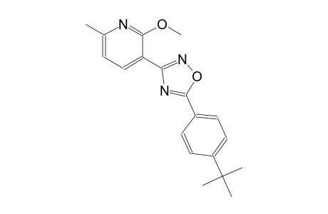3-[5-(4-tert-butylphenyl)-1,2,4-oxadiazol-3-yl]-6-methyl-2-pyridinyl methyl ether