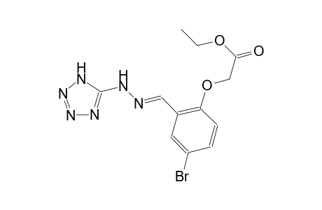 ethyl {4-bromo-2-[(E)-(1H-tetraazol-5-ylhydrazono)methyl]phenoxy}acetate