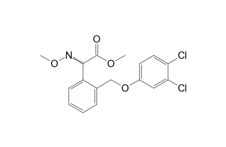 Benzeneacetic acid, 2-[(3,4-dichlorophenoxy)methyl]-alpha-(methoxyimino)-, methyl ester