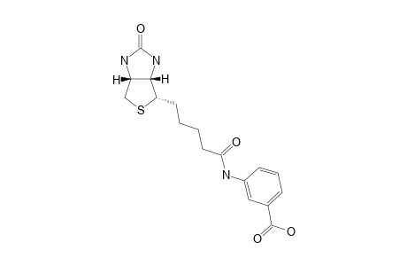 BIOT-4-(META);3-[5-(2-OXO-HEXAHYDROTHIENO-[3,4-D]-IMIDAZOL-6-YL)-PENTANOYLAMINO]-BENZOIC-ACID