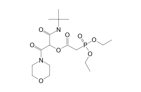 1-(TERT.-BUTYLAMINO)-3-MORPHOLINO-1,3-DIOXO-PROPAN-2-YL-2-(DIETHOXYPHOSPHORYL)-ACETATE
