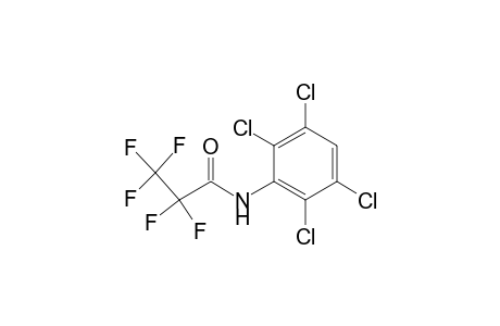 2,2,3,3,3-pentafluoro-N-(2,3,5,6-tetrachlorophenyl)propanamide