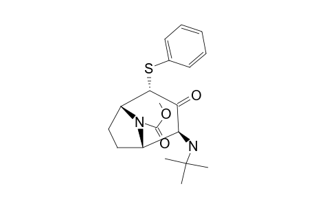 N-METHOXYCARBONYL-2-ENDO-(PHENYLSULFANYL)-4-EXO-(TERT.-BUTYLAMINO)-8-AZABICYCLO-[3.2.1]-OCTAN-3-ONE