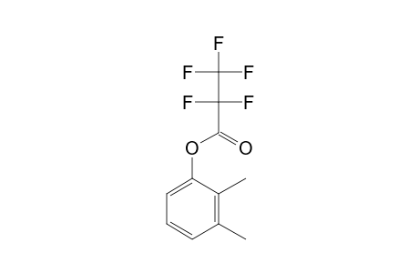 2,3-Dimethylphenol, pentafluoropropionate