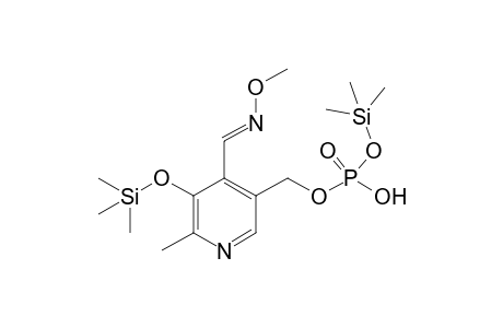 Pyridoxal-5'-phosphate, 2TMS, 1MEOX