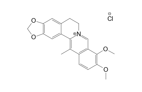13-Methyl-berberine "(methylenedioxy)-dimethoxy" - chloride