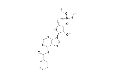 (17)O-LABELED-6N-BENZOYL-9-(5-DEOXY-3-O-DIETHYLPHOPSPHORYL-2-O-METHYL-BETA-D-GLYCERO-PENT-4-ENOFURANOSYL)-ADENINE