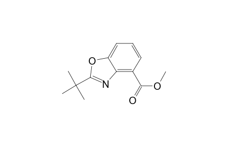 2-tert-Butyl-1,3-benzoxazole-4-carboxylic acid methyl ester