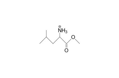 Leucine methylester cation