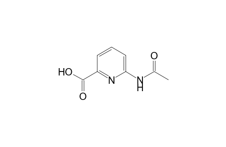 2-Pyridinecarboxylic acid, 6-(acetylamino)-