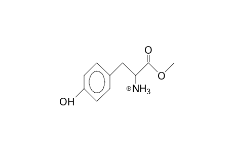 Tyrosine methyl ester cation